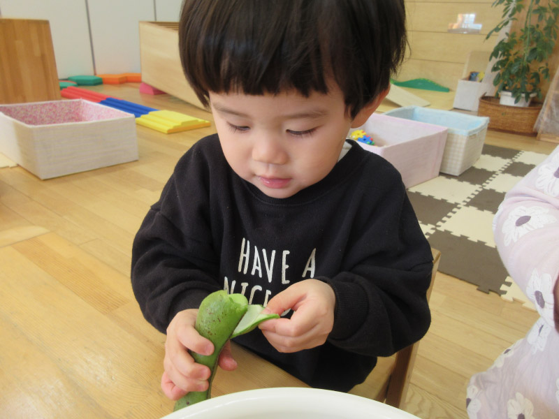 食育活動